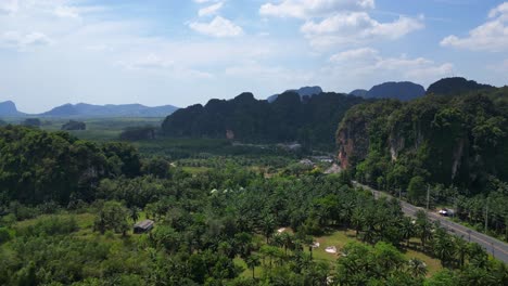 Tropische-Landschaft-Karst-Berge-Straße-Palmen