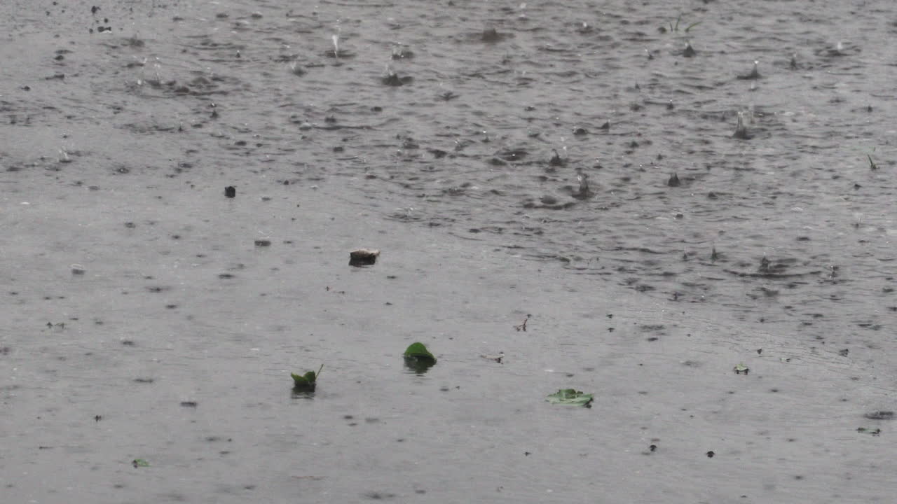 폭풍우 동안 물 웅덩이에 떨어지는 빗방울