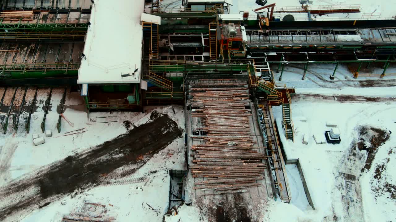 эффективная обработка бревен с помощью специализированного оборудования на лесопильном заводе в процессе производства фанеры