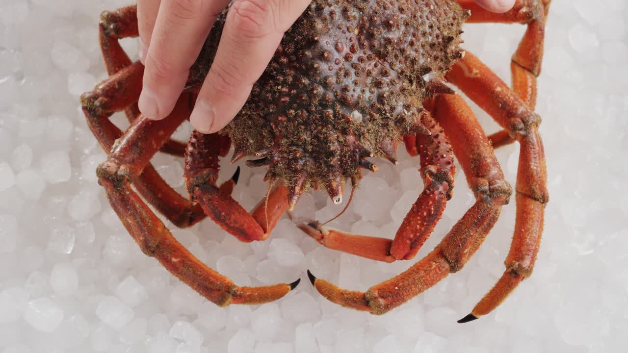 Preparing a Fresh Crab