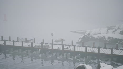 foggy winter dock