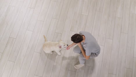 a man trains a golden retriever puppy. dog gives paw to owner