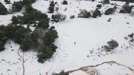 vista aérea de un hombre parado solo en un campo cubierto de nieve cerca de líneas eléctricas y árboles, israel