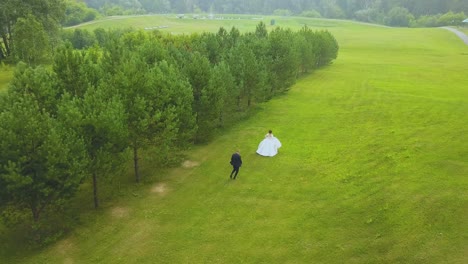 groom runs follow bride in green field at wood bird eye view