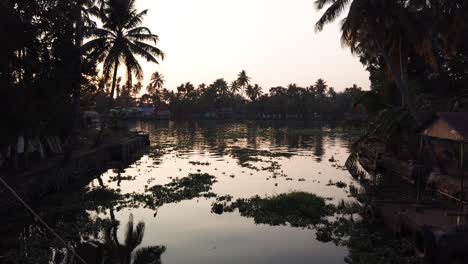cinematic travelling wide shot of trees silhouetted by banks of canal waterway at sunset at alappuzha, kerala, india
