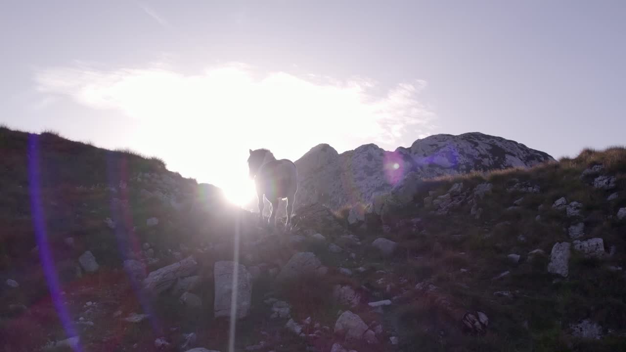 Scenic Durmitor mountains with wild horses in open pasture, Montenegro