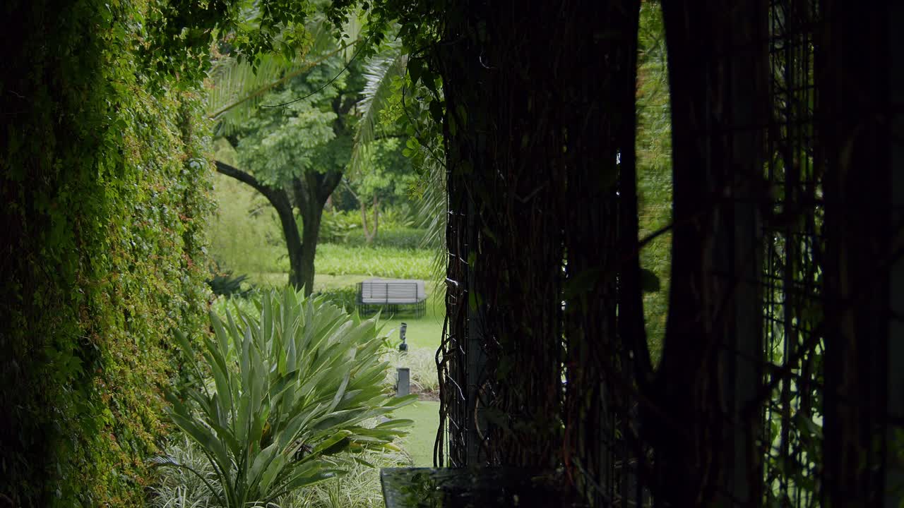 A scenic view through a tunnel of lush greenery in Antigua, Guatemala. The natural foliage forms an archway, creating a peaceful and inviting pathway surrounded by vibrant nature