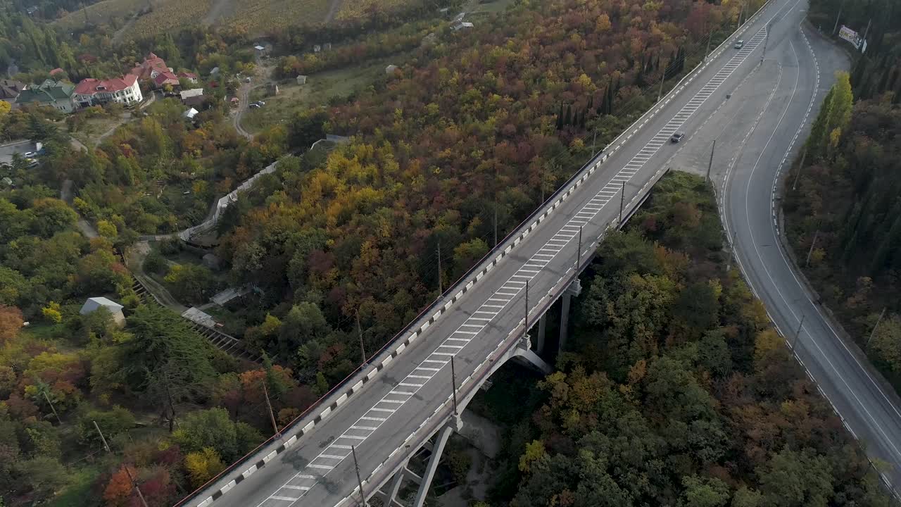 숲 풍경을 가로지르는 가을의 다리