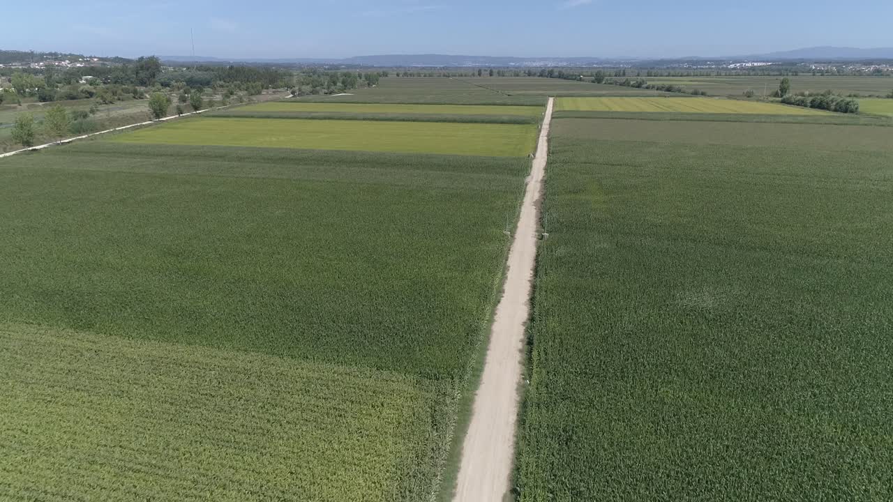 cultivos de verano en tierras agrícolas europeas fondo aéreo