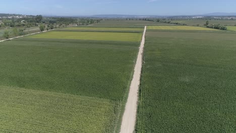 summer crops in european farm land aerial background