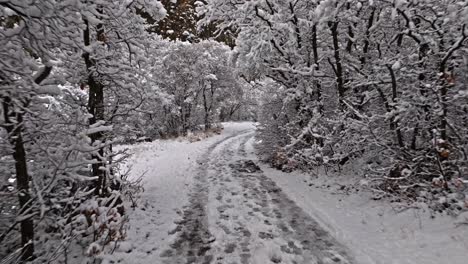 Schneebedeckter-Wanderweg-Mit-Scharfen-Ästen,-Die-Mit-Weißem,-Flauschigem-Pulver-überzogen-Sind