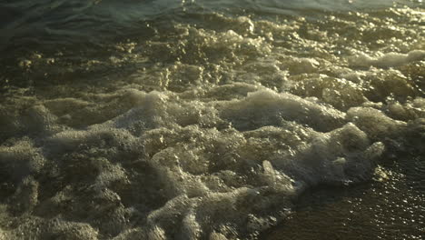 Waves on the Shore at Sunset