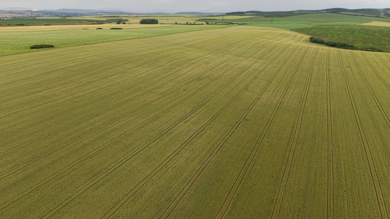 This aerial shot captures expansive green agricultural fields in rural Hungary, highlighting the intricate cultivation patterns and the serene natural beauty.