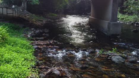 Cámara-Lenta-De-Un-Pequeño-Arroyo-Que-Fluye-Bajo-Un-Puente