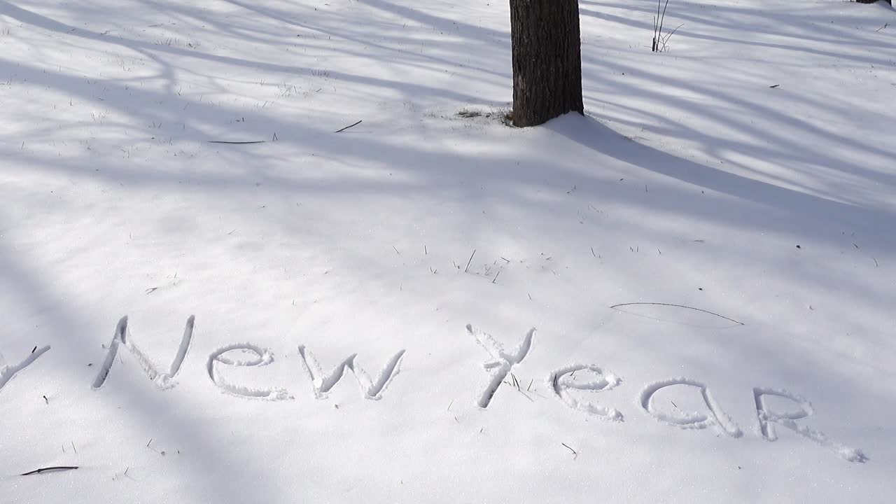 Scritta di buon anno sulla neve. Ripresa in inverno.