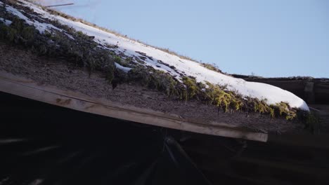 50 fps snow melting from mossy house roof and drops on the ground