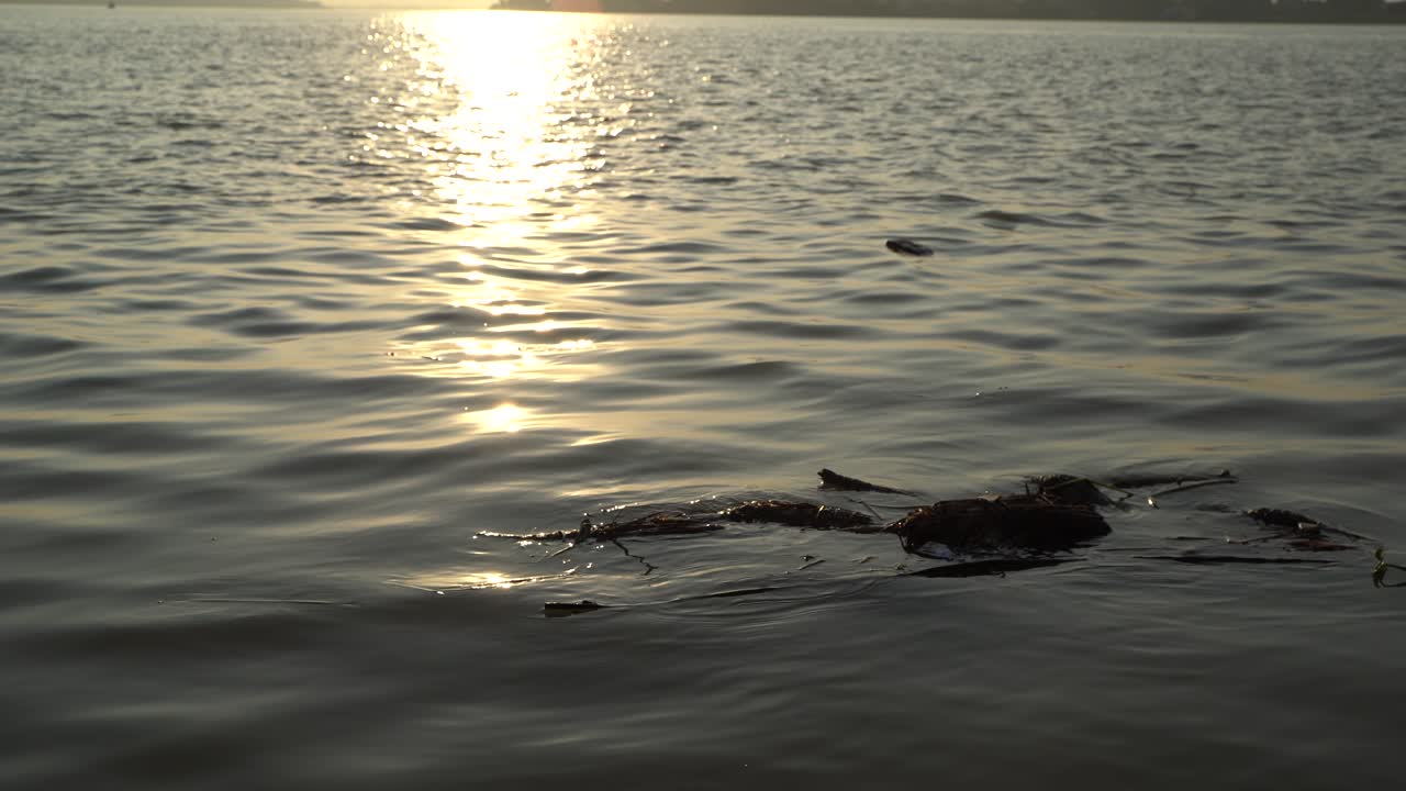 석양에 강 위에 떠 있는 구조물의 동상