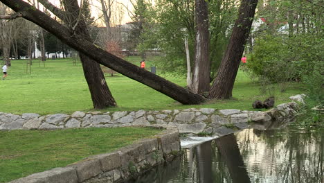 imagen de un parque, con un pequeño río, árboles y deportistas corriendo al fondo