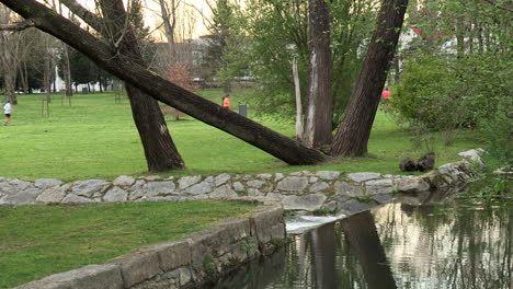 image of a park, with a small river, trees and sportsmen running in the background