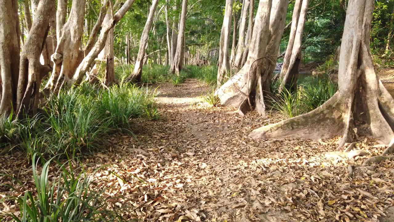 pretty walking path in the afternoon
