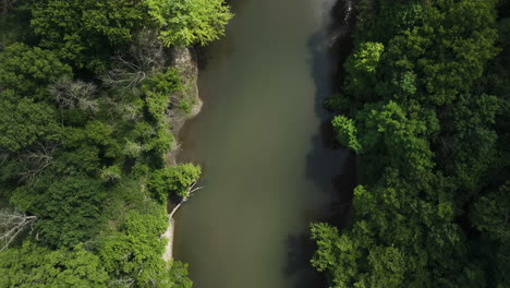 vista de pájaro sobre un río tranquilo rodeado de exuberante vegetación en oronoco, minnesota, ee.uu. - fotografía de un avión no tripulado