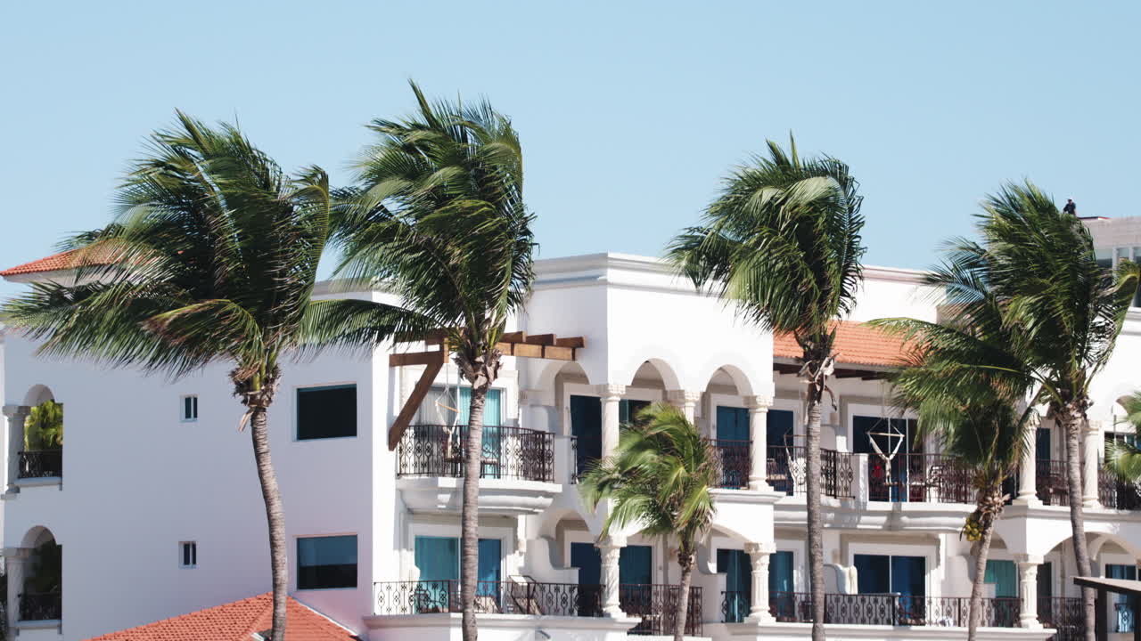 ⁇ 나무 와 리조트 가 있는 멕시코 해변