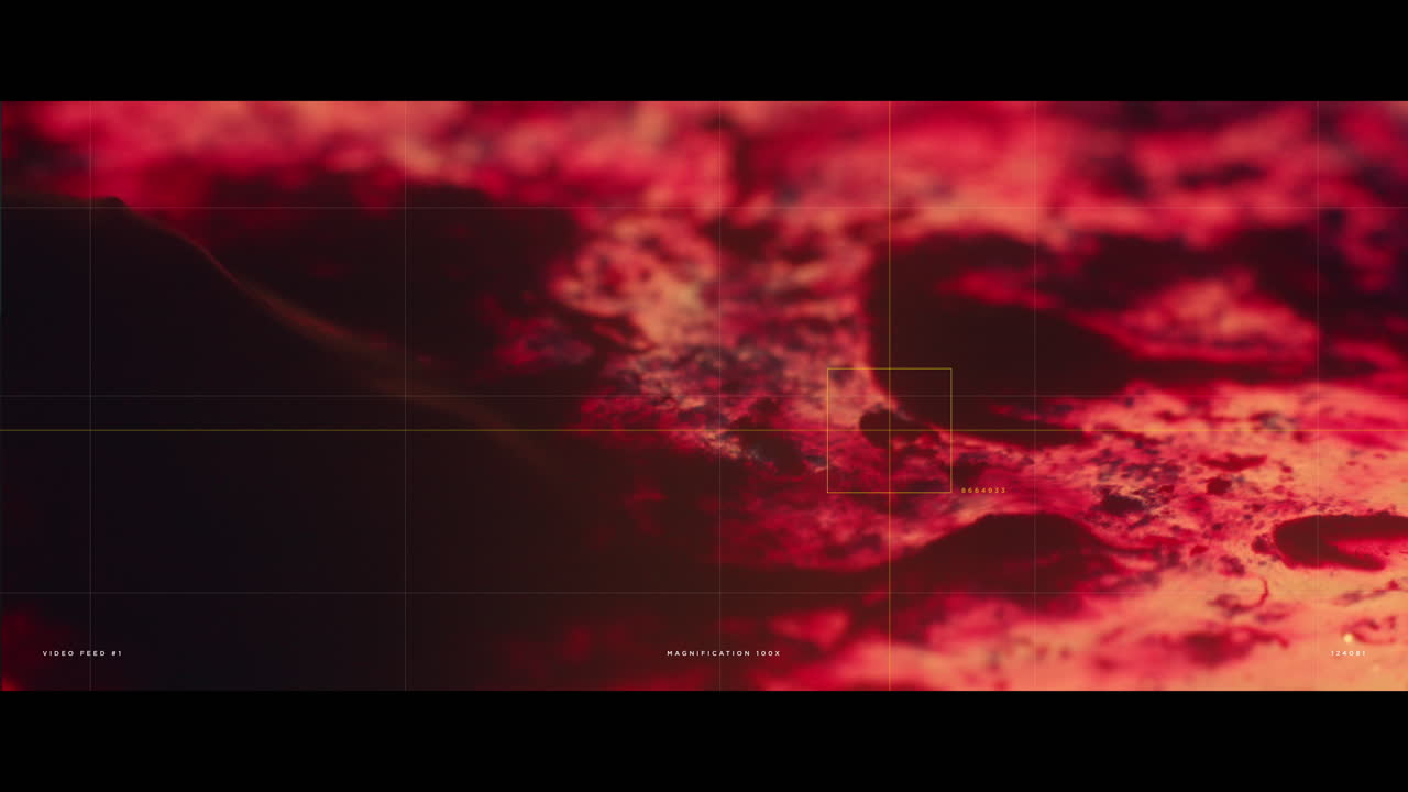 Microscopic View of a Red Material