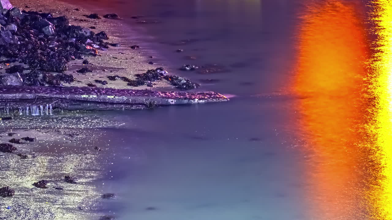 una gran garza azul vadeando en el agua del océano mientras sube la marea y la puesta de sol se refleja en el agua - lapso de tiempo