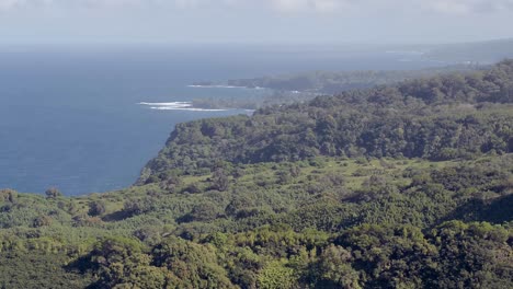 aerial view of the hawaiian island maui and its jungle covered cliff landscape