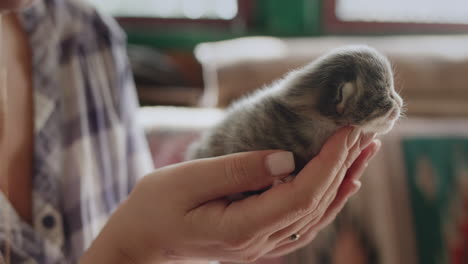 Woman-holds-a-newborn-blind-kitten