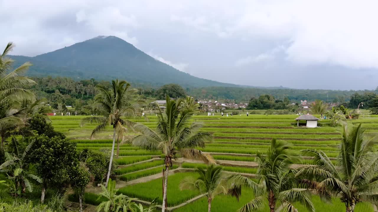 발리 화산 - 자틸루위 논