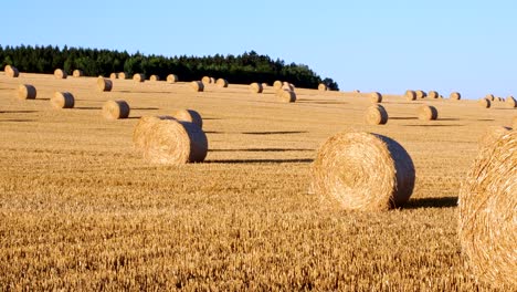 heuballe auf dem feld nach der ernte. landwirtschaftsfeld. heuballe in der goldenen feldlandschaft.