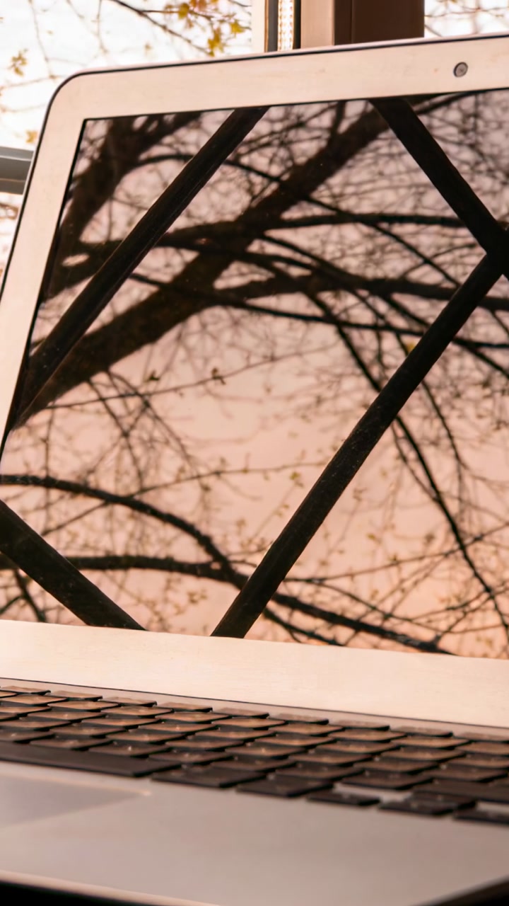 Vertical video: Panning camera revealing silver laptop reflecting buds on branches on desk, webcam