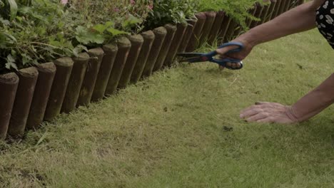 Woman-trimming-lawn-edge-border-with-scissors-in-garden