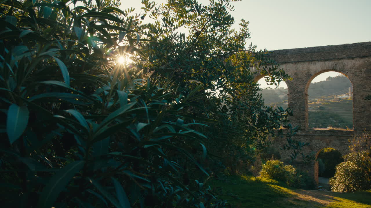 Sunlight breaks through dense leaves in the foreground, casting a warm glow on a historic aqueduct set against terraced hills