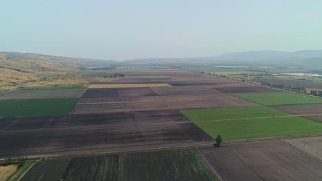 Luftaufnahmen-Großer-Felder-Im-Norden-Israels
