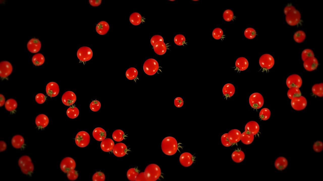 검은색 바탕에 많은 신선한 토마토를 날아. 유기 채소. 익은 맛있는 체리 토마토. 토마토 회전의 3d 루프 애니메이션.
