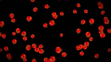 volando muchos tomates frescos en fondo negro. verduras orgánicas. tomates de cereza maduros y jugosos. animación de bucle 3d de tomate girando.