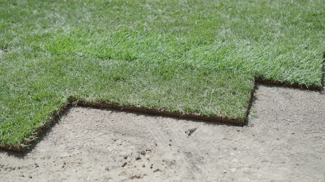rollo de nuevo césped natural instalado por jardinero profesional. industria de jardinería.