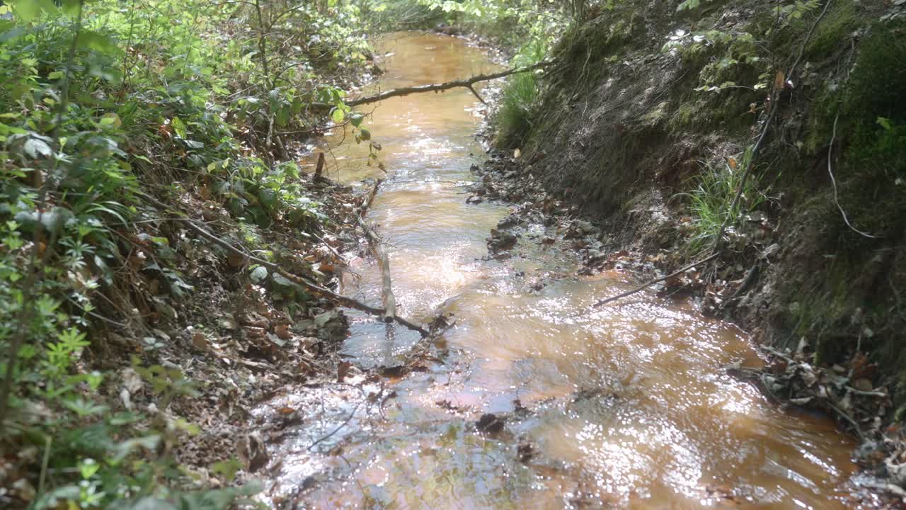 disparo de una delgada corriente de agua que fluye en el bosque