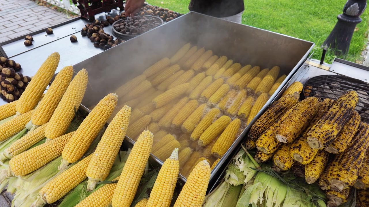 Street Vendor Steaming Fresh Corn on the Cob