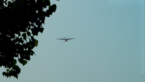 An-airplane-in-the-distance,-descending-towards-the-runway,-framed-by-tree-leaves