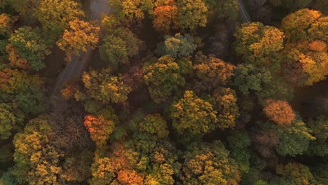 drone aerial view of kaunas city, during autumn sunset