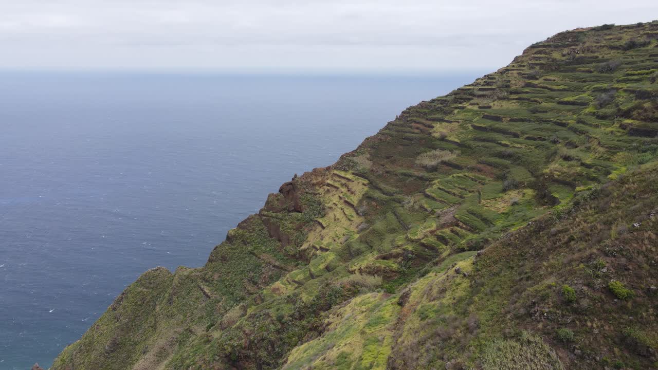 video aéreo en 4k de una ladera empinada y en terrazas con vistas al océano