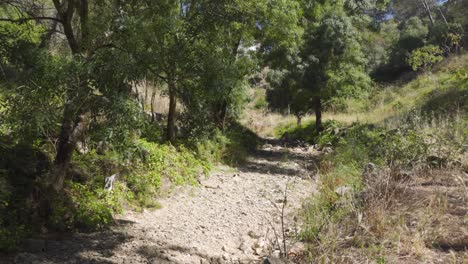 Toma-Panorámica-Hacia-Arriba-De-Un-Cauce-Seco-Durante-Una-Sequía-De-Verano-En-Portugal