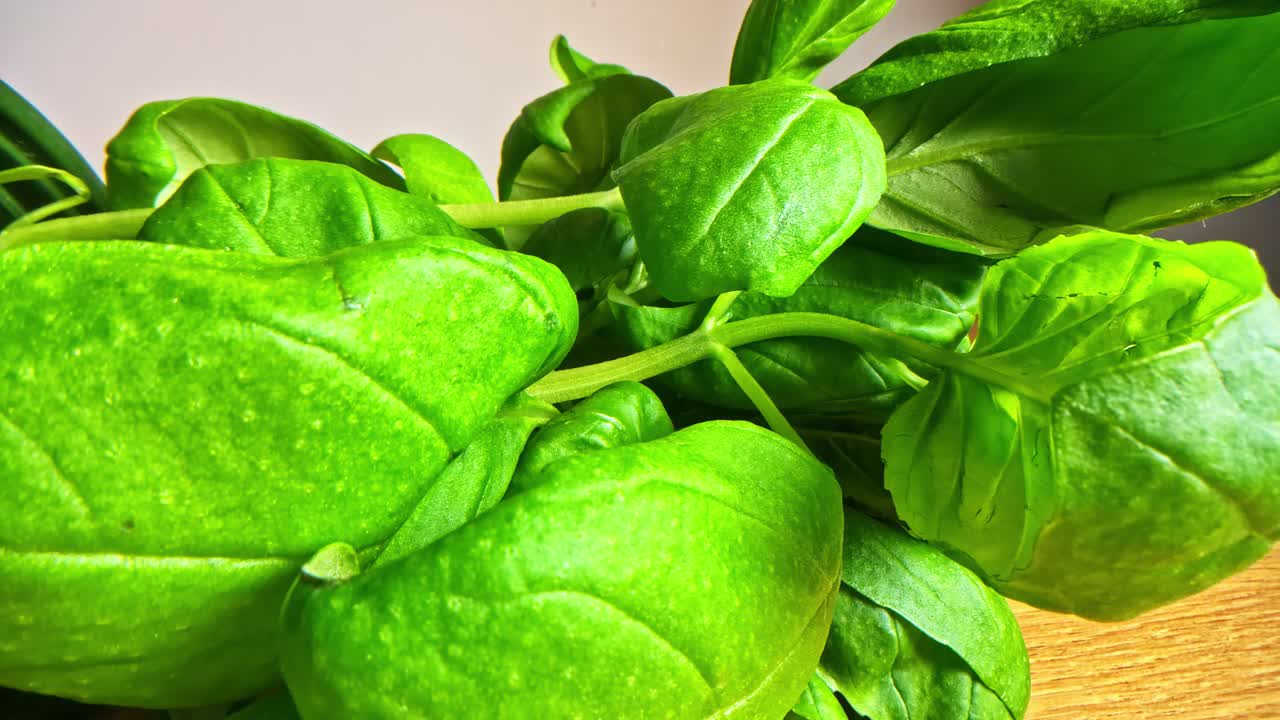 Fresh basil leaves, light green plant herb aromatic taste close-up