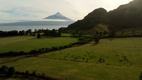picturesque rural chilean landscape, farming livestock, mountain backdrop