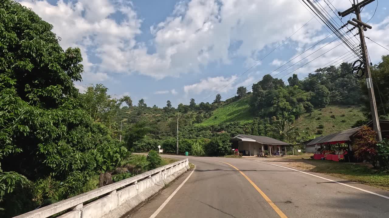울창 한 지역 의 휘어지는 길 을 따라 여행