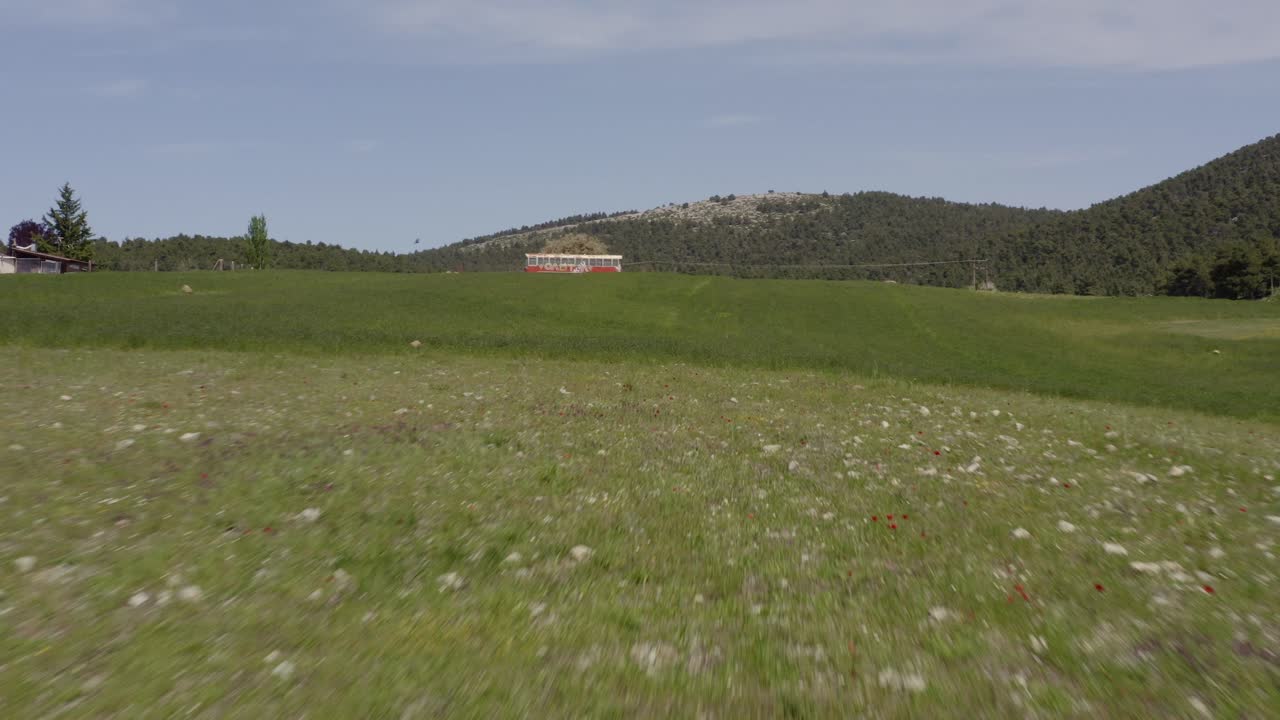 공중 - 푸른 초원 위를 날다