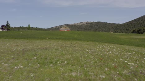 Aerial---Flying-above-a-green-meadow